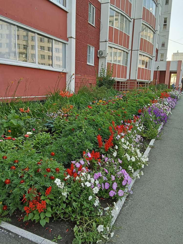 Мира 63а